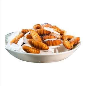 Ver à soie congelé Chrysalis Nourriture pour animaux de compagnie 1kg Pupes séchées dans un sac sec de stockage sans gluten pour les bovins - Product Image 3