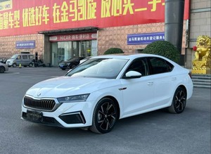 <span class=keywords><strong>Octavia</strong></span> 2023 Pro TSI280 - Product Image 3