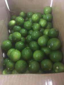 FRESH SEEDLESS FOR THE BEST ON MARKET FROM VIET NAM BY KELLY FROM VIET NAM - Product Image 4