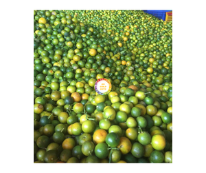 Jus de calamansi congelé Fruit naturel de calamansi congelé du Vietnam sourcé pour jus rafraîchissants Jus de calamansi congelé Prix bon marché - Product Image 1