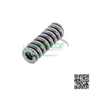 Resorte de Compresión de Excelente Calidad para Piezas de Motores MWM RS-12029713 Válvula - Product Image 5