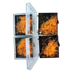 Extensions de cils en cheveux synthétiques de haute qualité, volume 5D, courbure CC, faites à la main, 8-15 mm, pour salon de beauté, Nhu Y NY5D, épaisseur 0,07 mm - Product Image 3