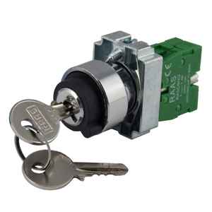 Interrupteur à clé rotatif en plastique, tension maximale 12V/24V - Product Image 1