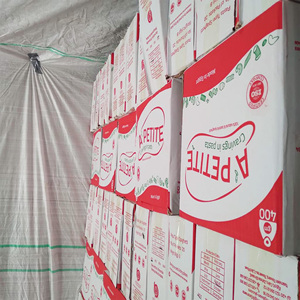 <b>Pasta</b> Spaghetti 400 gm Hard <b>Wheat</b> A'petite Brand Premium Quality and Best Price - Product Image 2