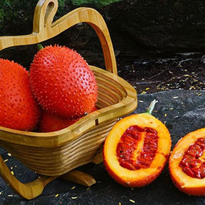 100% เนื้อ GAC ผลไม้แช่แข็งตามธรรมชาติ | superfood เพื่อความงามและสุขภาพ - Product Image 1