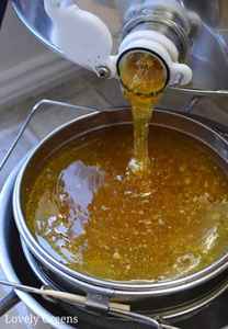 Extracto Herbal Orgánico Crudo Sin Procesar de Grado Alimenticio, Miel Líquida Silvestre, Proveedor de Exportación a Granel - Product Image 2