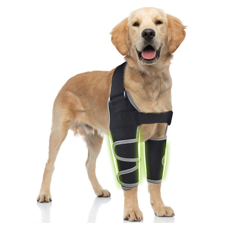 Wholesale Dog Leg Injury Braces Support Protection