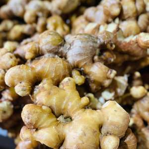 ขิงสดพรีเมี่ยมจากสมุนไพรที่มีคุณค่าทางโภชนาการจากเวียดนามและส่วนผสมชา - Product Image 2