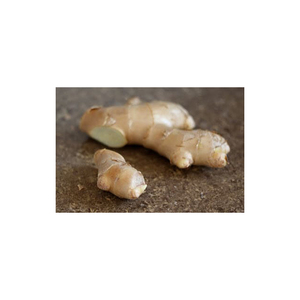 Le gingembre pour un soulagement naturel des gaz et de l'indigestion - Product Image 2