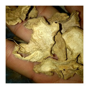 Vente en gros de gingembre déshydraté du Vietnam-Tranche de gingembre séché Offre Spéciale pour cuisiner et boire-Gingembre séché par 99G - Product Image 1