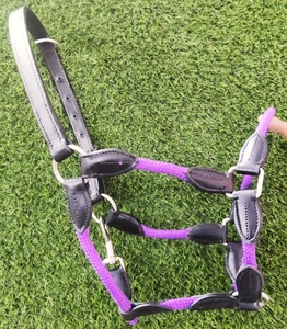 Halter en cuir pour l'équitation Bridle Horse Riding Equipment High Quality Argentinian Cow Leather Polo Horse Halter OEM Accept - Product Image 6