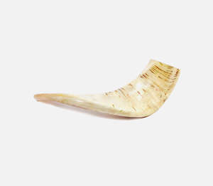Auténtico Shofar de Cuerno de Búfalo Natural en Tono Crema, Hecho a Mano, con Textura Acanalada Tallada a Mano, Tradicional Religioso - Product Image 6