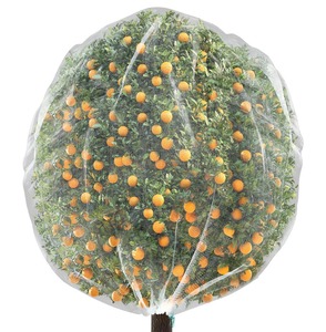 HDPE chống côn trùng <span class=keywords><strong>Net</strong></span> cho rau nhà kính và vườn cây ăn trái bền và chống lão hóa - Product Image 4