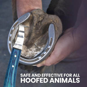 Cuchillo de bucle de recorte de pezuña de acero inoxidable de doble filo Premium, selección de pezuña, mango de hoja duradero, herramienta de herrador versátil caballo vaca - Product Image 6