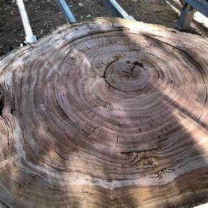 ท่อนไม้มะเกลือดำคุณภาพพรีเมี่ยมวัสดุก่อสร้างนำเข้า - Product Image 2