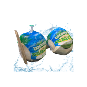 วิธีการหมักมะพร้าวสดเพื่อประโยชน์โปรไบโอติก - Product Image 2