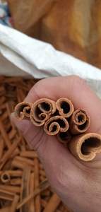 Vietnam cultivado PRIMAVERA/otoño cigarrillo Cassia pimienta seca especias y hierbas crudas conservadas con aceite para importadores - Product Image 5