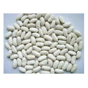 Best Price Organic Dried White Kidney Beans Bulk Stock Available With Customized Packing