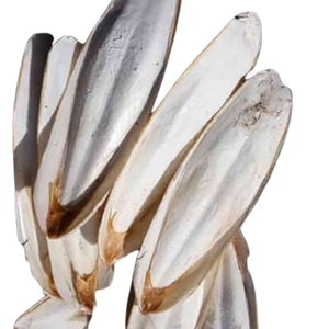 HUESO DE CUTTLEBONE PEQUEÑO PARA ANIMALES AL POR MAYOR HUESO DE SEPECO BLANCO NATURAL DE FÁBRICA VIETNAM - Product Image 1