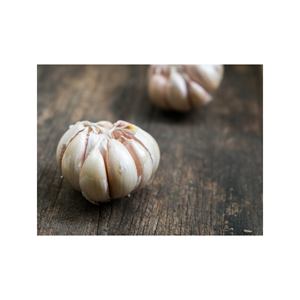 Ajo blanco puro de grado superior blanco nieve al por mayor nueva cosecha ajo blanco fresco - Product Image 5