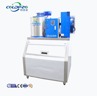 Machine à glace en flocons industrielle et commerciale COLDPRO, petite et grande capacité, pour supermarchés, bateaux de pêche, conservation des aliments