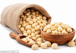 Nueces de Macadamia Naturales de Calidad de Exportación / Nueces de Macadamia Premium / Nueces de Macadamia Tostadas y Saladas al por Mayor - Product Image 4