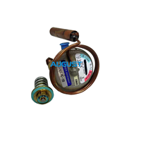 Vanne d'expansion pour conteneur frigorifique Carrier 14-01104-42 14-00244-42