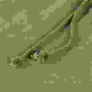 Pantalones Cortos Deportivos para Hombre, 100% Algodón, 180g, Antiarrugas, con Logotipo Personalizado, Transpirables, de Secado Rápido, con Cierre de Cordón, Servicio OEM - Product Image 6