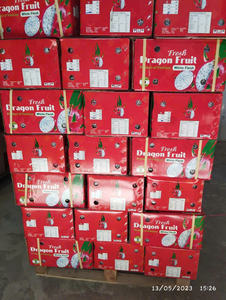 FRUIT DU DRAGON VIETNAMIEN, LE PROCHAIN ENGAGEMENT DE SUPERFRUITS EN INDE! - Product Image 2