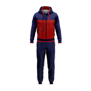 Chándales con capucha transpirables ajustados personalizados para hombre, ropa deportiva informal de moda, respetuosa con el medio ambiente, logotipo personalizado, OEM para hombre de invierno - Product Image 2