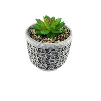 Vente en gros de plantes vertes artificielles en pot, petits arbres verts en ciment pour la décoration de la maison et du jardin, pots à herbes, graines et fleurs