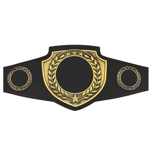 เข็มขัดแชมป์ Flyingkick Enterprises รุ่น World Tag Team Championship Wrestling ทำจากหนังแท้ พร้อมแผ่นทองคำ - Product Image 3