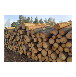 Spruce <b>Wood</b> Round <b>Logs</b> - High-Quality Timber - Product Image 4