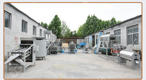 Ligne de production automatique de transformation des noix de cajou Fabricants de machines de transformation des noix de cajou - Product Image 4