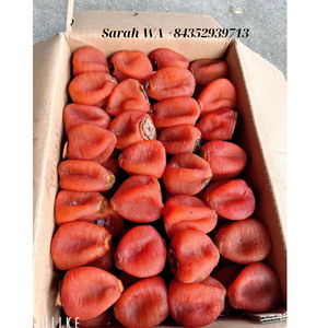 Venta al por mayor de caqui seco de Vietnam: mejor venta de frutas secas suaves de exportación de calidad superior - Product Image 6