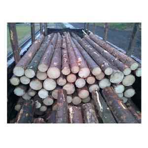 Troncos redondos de madera de abeto descortezado: material de madera de grado natural ecológico de alta calidad/suministro de muebles de 1000 toneladas - Product Image 2