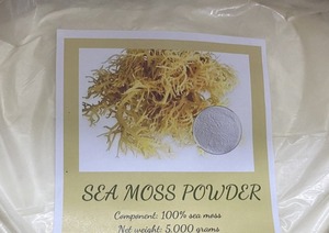 POLVO ALTAMENTE NUTRITIVO | Polvo de seamoss de alta calidad de Vietnam con precio competitivo - Product Image 3