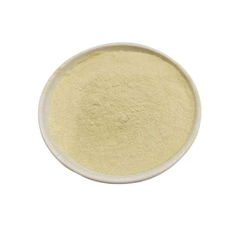L-Glutathione Yeast