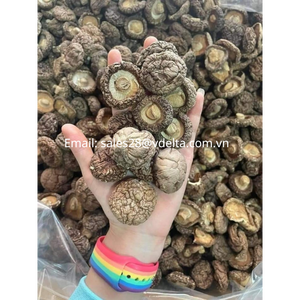 Hongos Shiitake secos nutritivos/Seta Shiitake para cocinar/Seta de alta calidad con buen precio-Sra. Shyn Tran - Product Image 4