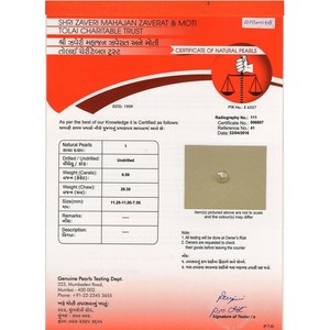 Perle d'eau douce naturelle blanche pour la fabrication de bijoux (6,59 carats) - Product Image 4