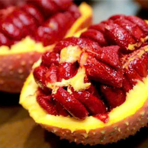 VIANDE GAC PURE CONGELÉE | SUPERFRUIT VIETNAMIEN NATUREL PREMIUM - Product Image 5