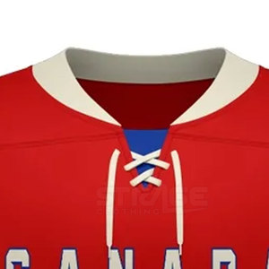 Maillot de hockey sur glace pour hommes en gros - Logo personnalisé, couleurs et tailles |   100% polyester |   Écologique et à séchage rapide |   En stock - Product Image 4