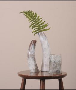 Buffalo Horn Plant Pot for <b>Party</b> <b>Decoration</b> Wedding and Design Piece and Hot Sale Product Natural Horn Color - Product Image 1