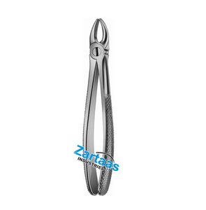 Pince à dents ANATOMICA en acier inoxydable de haute qualité Fig. 3 Fabricant d'instruments dentaires réutilisables - Product Image 1