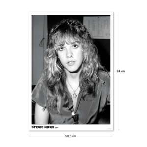Stevie Nicks Retro Photography <b>Poster</b> 1977 Wall Art 61x91.5 cm Paper Material - Product Image 2