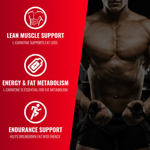 Suministro directo de fábrica Suplemento alimenticio 99% L-Carnitina en polvo para bajar de peso Acetil L-Carnitina en polvo - Product Image 4