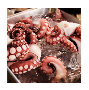 Pulpo Gigante Entero (Congelado) de la Mejor Calidad a Precio de Oferta - Product Image 6