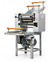 Machine automatique commerciale pour la fabrication de nouilles, extrudeuse de nouilles en acier inoxydable pour les restaurants, les cantines et les boulangeries
