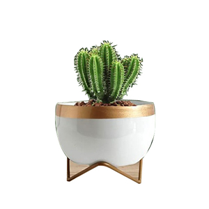 Maceta de Metal de latón con acabado chapado en oro, gran venta de maceta de decoración para fiesta de boda, elegante planta antigua para interiores y exteriores - Product Image 4