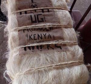 Fibre de sisal à motif brut pour cheveux de gypse Vente en gros Fibre textile de sisal du Kenya Vente en gros - Product Image 4